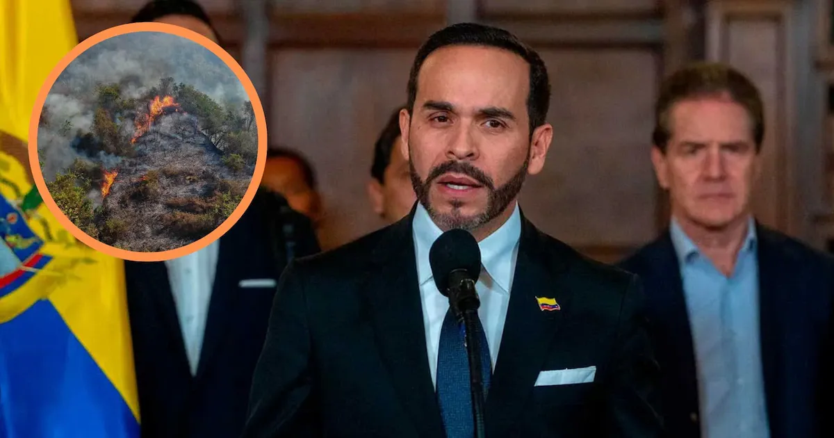 Presidente confirma control del incendio en Gualanday y pide vigilancia estricta sobre el gasoducto