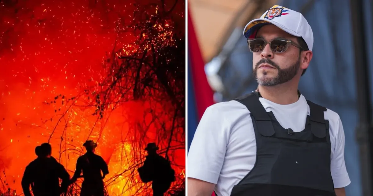 Presidente ordena reforzar la fuerza pública por incendios en Tolima