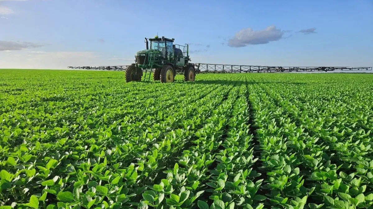 De La Espriella plantea convertir los Llanos Orientales en un polo agropecuario similar al Mato Grosso brasileño