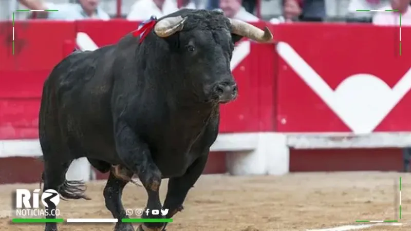 Gobierno define las reglas para el último año de las corridas de toros en Colombia