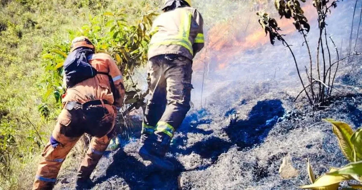 Autoridades de Santander solicitan al Gobierno nacional apoyo aéreo para contener un incendio forestal
