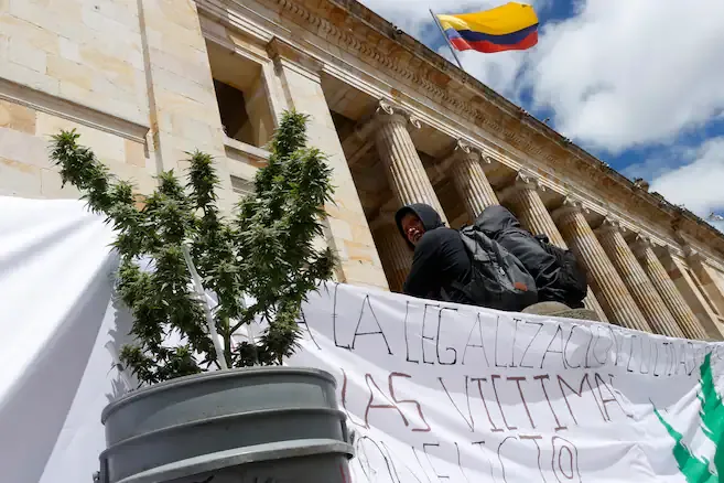 Congreso vuelve a poner sobre la mesa el debate para regular el consumo de cannabis en Colombia