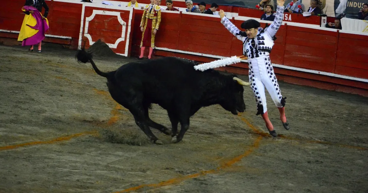 Demandan el decreto presidencial que endurece las restricciones a las corridas de toros