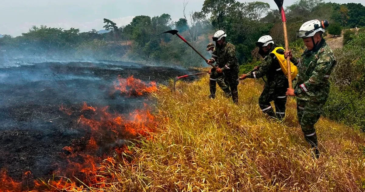 De la Espriella conforma un grupo élite y ofrece recompensa por los responsables de los incendios forestales