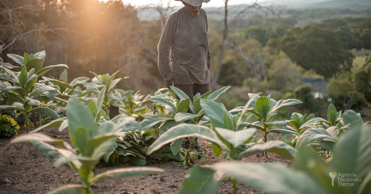 Defensoría pide respuesta urgente del Estado tras amenazas a líderes campesinos vinculados a la reforma agraria