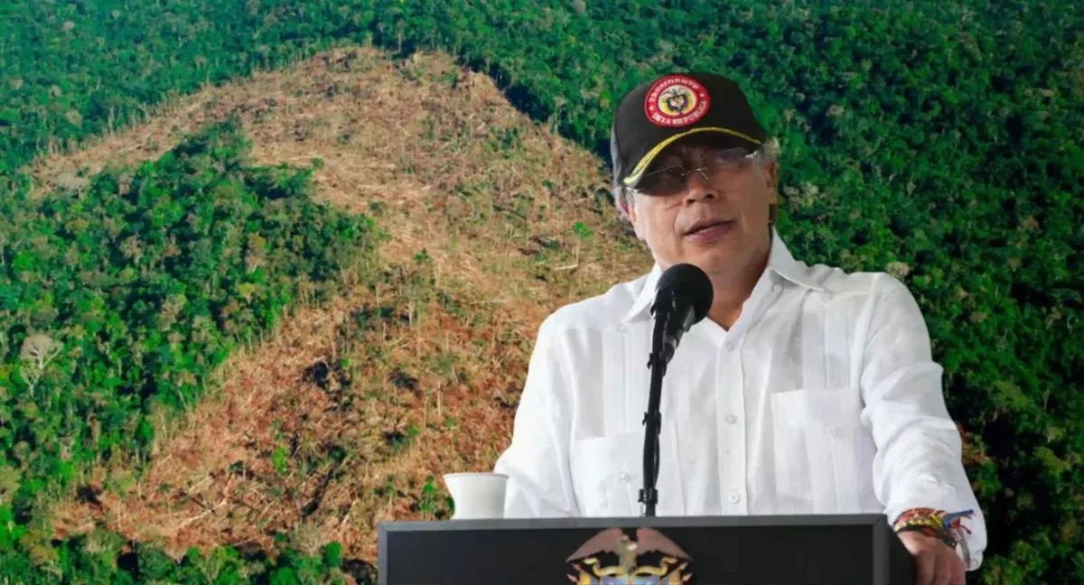 Deforestación en Colombia registró su cifra más baja en más de dos décadas, según el IDEAM