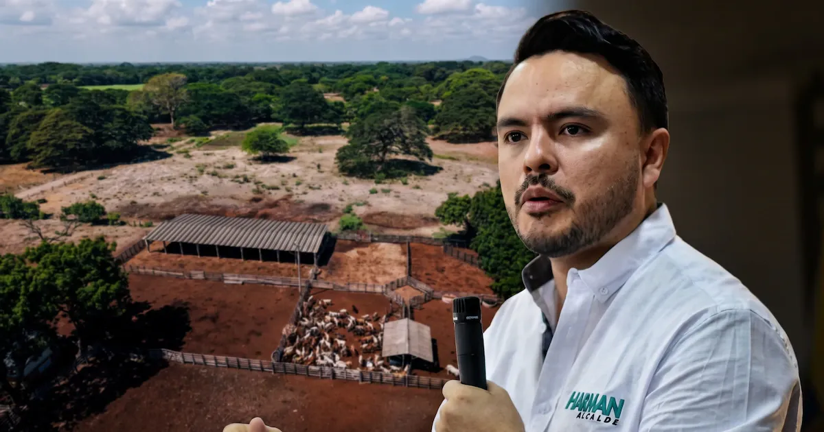 Director de la Agencia Nacional de Tierras cuestiona al Gobierno De la Espriella y denuncia intención de “devolver la tierra a la mafia”