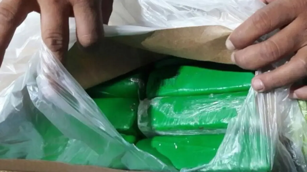 Colombia y Ecuador acordarán operativos conjuntos contra el narcotráfico, según el ministro del Interior