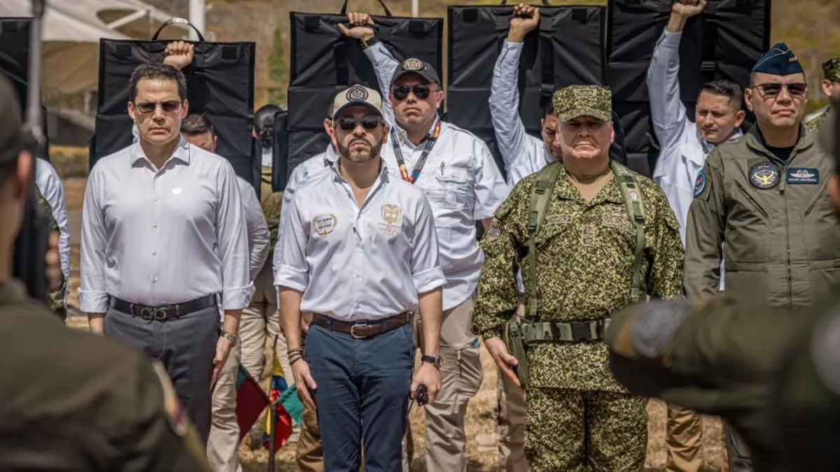 Mindefensa anuncia grupo élite para perseguir a responsables de incendios en Tolima
