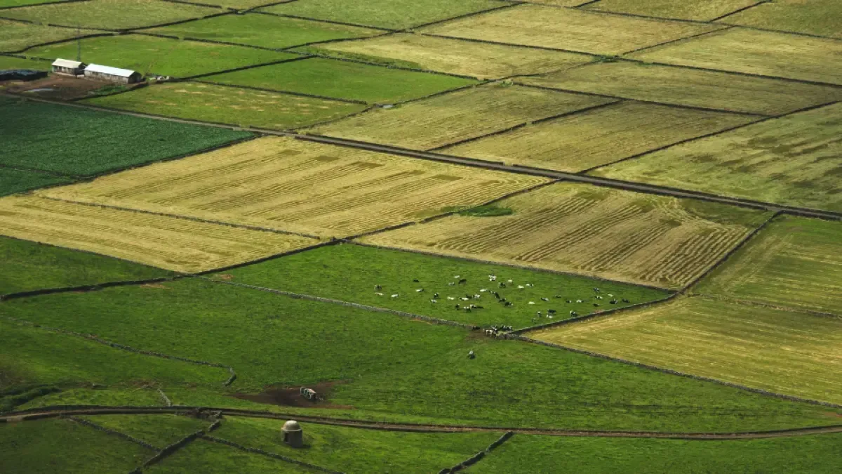 Ministerio de Agricultura anuncia recorte de 10.000 contratos y busca mayor eficiencia en el campo