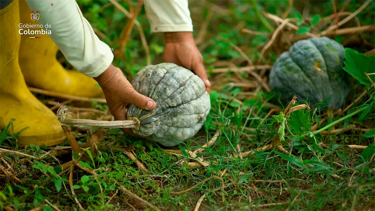Gobierno presenta la reforma agraria como su principal legado al campesinado