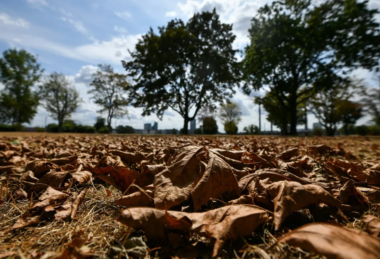 Gobierno declara emergencia climática ante el fenómeno de El Niño 2026-2027