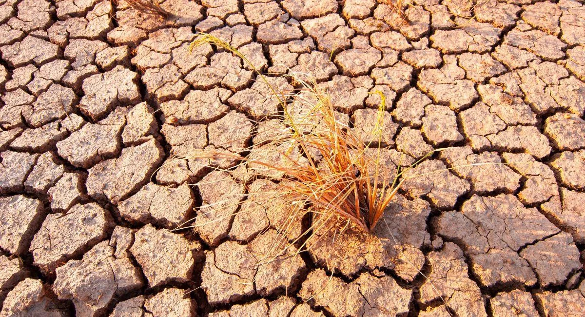 El Gobierno evalúa decretar emergencia nacional ante la llegada del fenómeno de El Niño