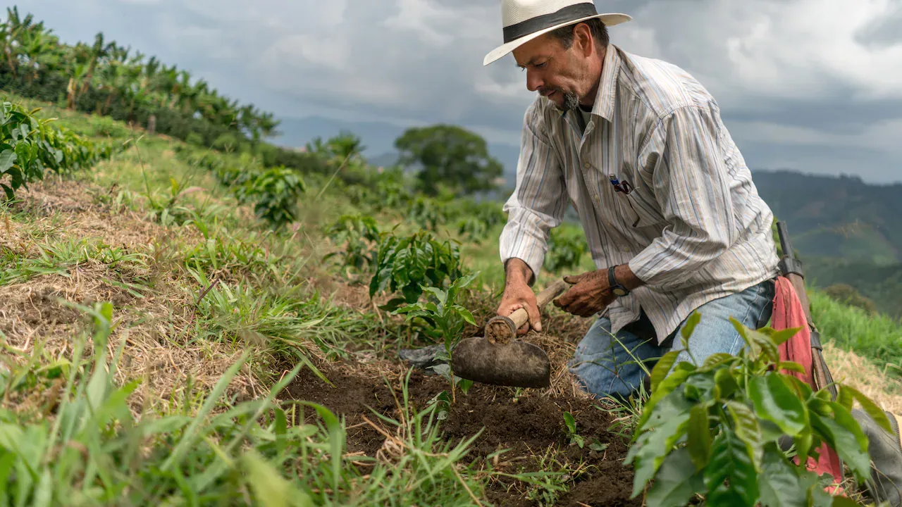 Gobierno activa estrategia para fortalecer el agro y atender las necesidades del campo