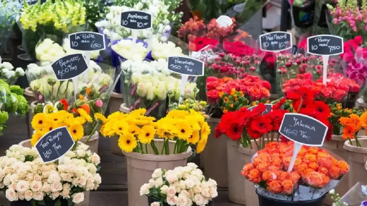 Gobierno de Abelardo de La Espriella diseña plan de choque con Asocolflores para fortalecer la floricultura