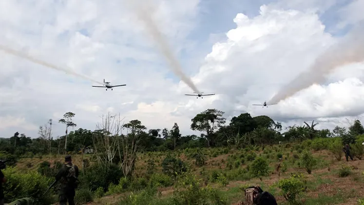 Gobierno de De la Espriella anuncia fumigación de cultivos ilícitos y no descarta el glifosato