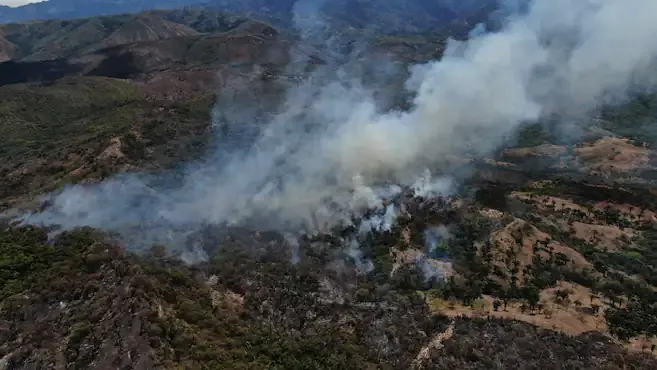 Ministro del Interior confirma más acciones del Gobierno por los incendios forestales en el Tolima