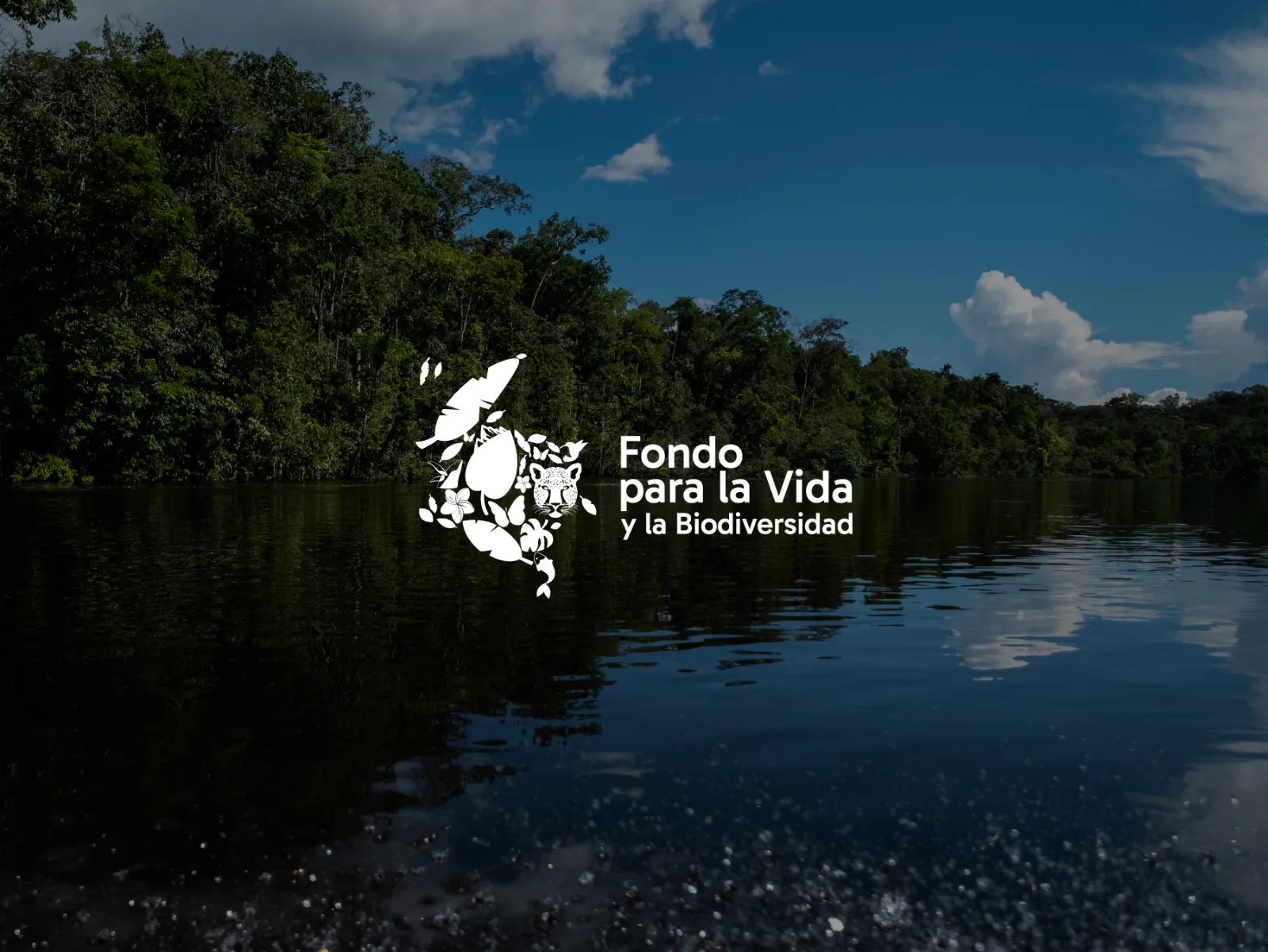 El Gobierno ordena una auditoría externa al Fondo para la Vida y la Biodiversidad