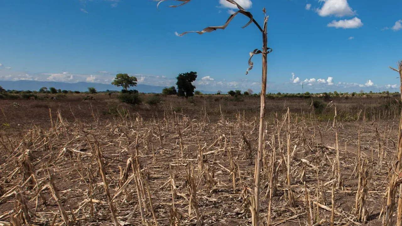 Gobierno decreta emergencia nacional por El Niño y congela deudas a agricultores
