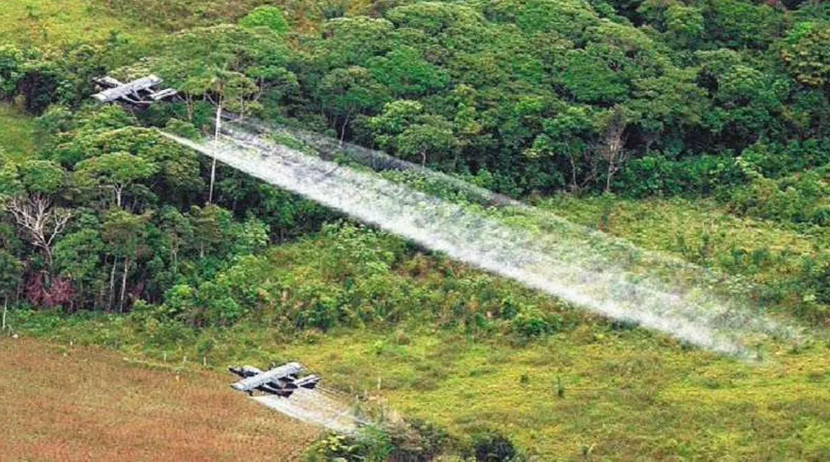 Gobierno colombiano defiende ante el Congreso la fumigación aérea de coca con glufosinato