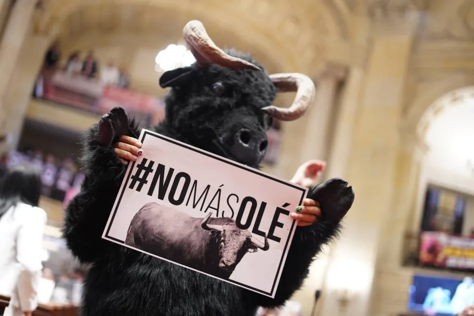 Gobierno expide nuevas reglas para las corridas de toros en la transición hacia su prohibición
