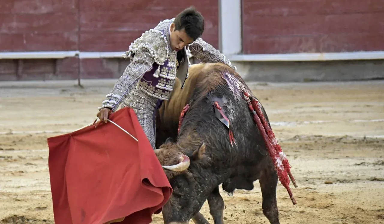 Gobierno define condiciones para los eventos taurinos mientras avanza su prohibición