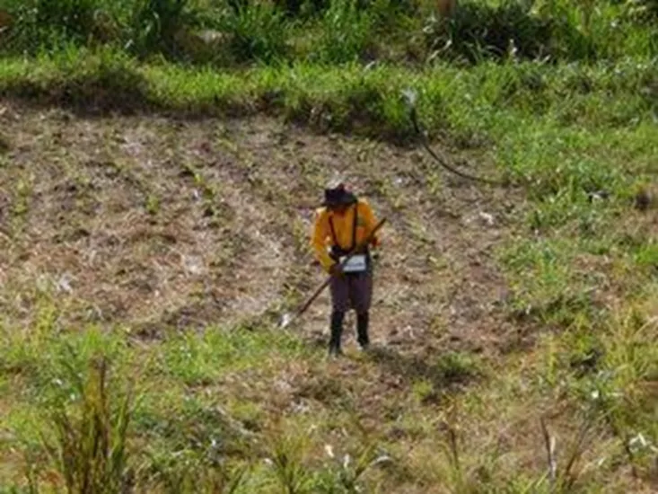 Gobierno refuerza medidas para atender la emergencia por la temporada de lluvias