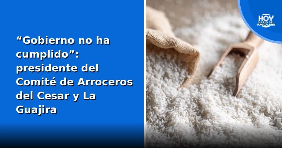 Arroceros del Cesar y La Guajira cuestionan al Gobierno por incumplimientos