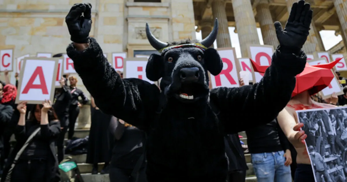 El Gobierno nacional reglamenta las corridas de toros mientras se acerca su prohibición total en 2027