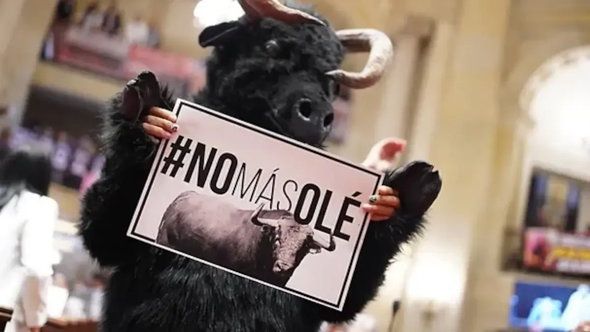 El Gobierno reglamenta la Ley No Más Olé y define las condiciones de las corridas de toros hasta su prohibición en 2027