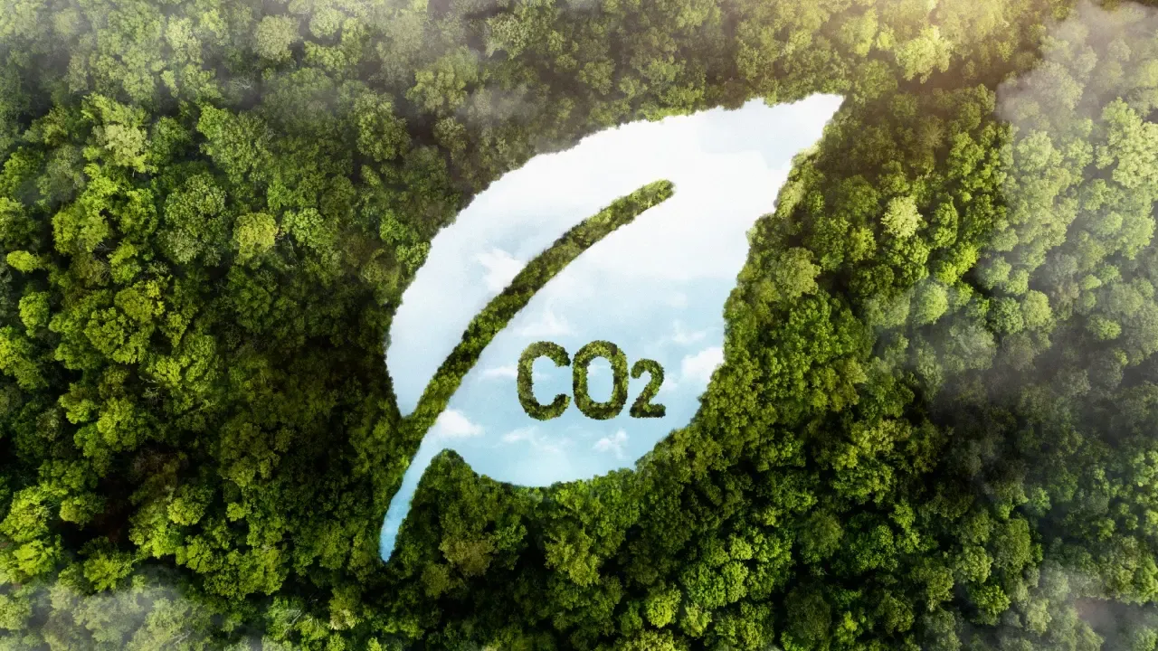 El Gobierno revoca el decreto que reglamentaba los mercados de carbono y alista una nueva propuesta