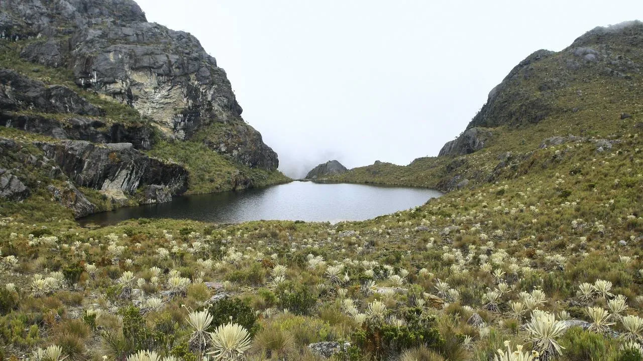 Ministerio de Ambiente revierte zona de reserva alrededor del páramo de Santurbán
