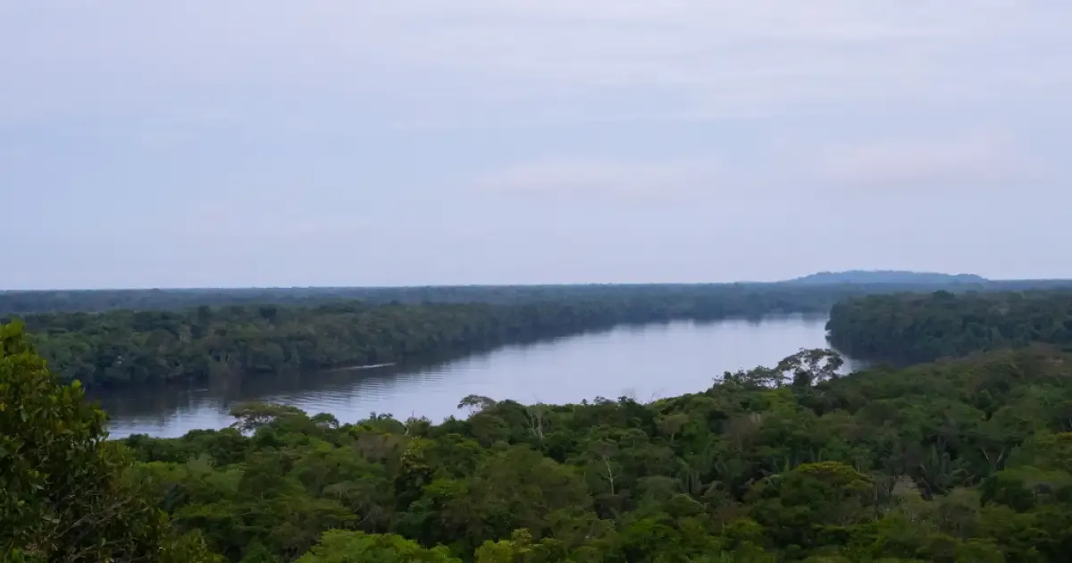 El Gobierno derogará la reglamentación actual de los mercados de carbono en Colombia