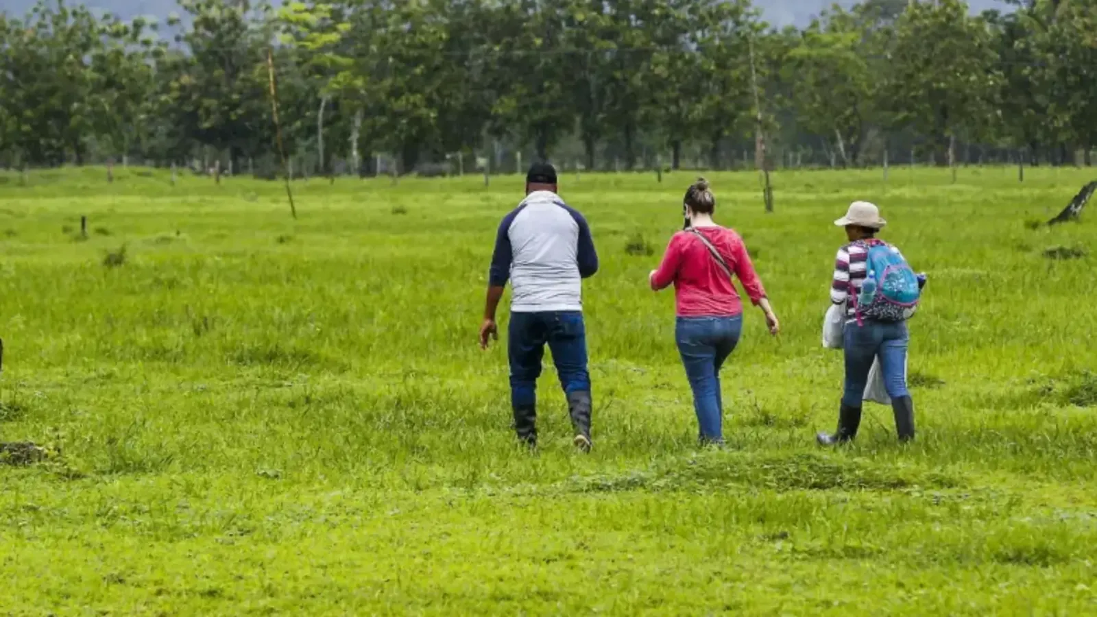 El Ministerio de Agricultura suspende por 90 días la entrega y titulación de tierras en Colombia