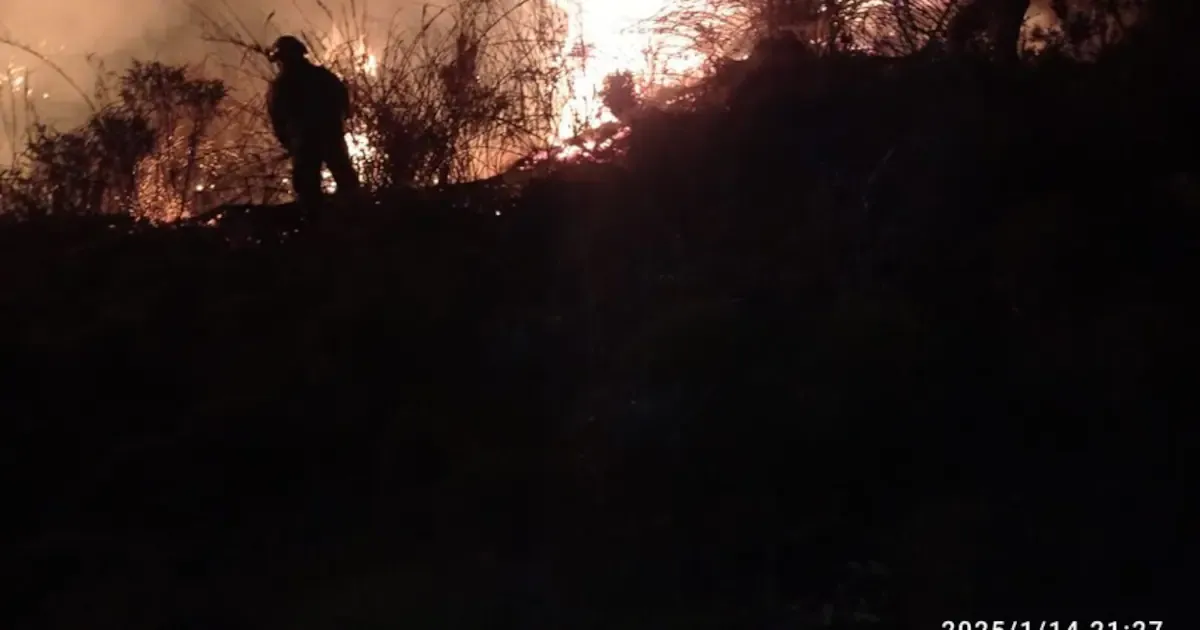 Defensoría del Pueblo pide atención urgente por incendio que amenaza la Reserva Forestal del Pacífico