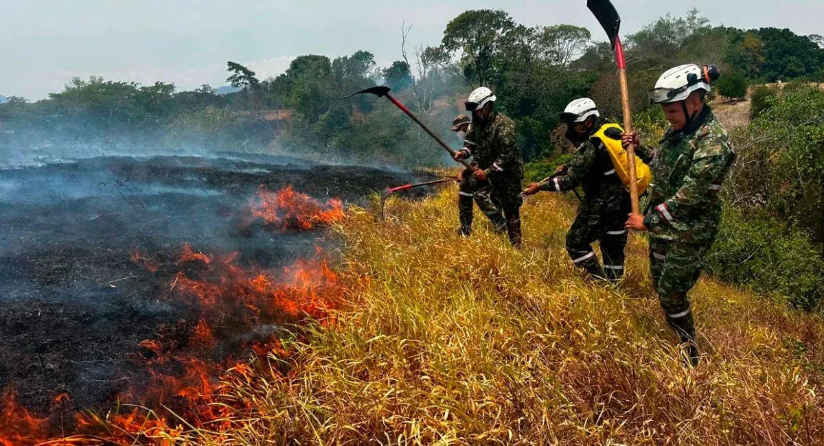 Gobierno lanza el Compromiso Tolima para atender a familias afectadas por los incendios