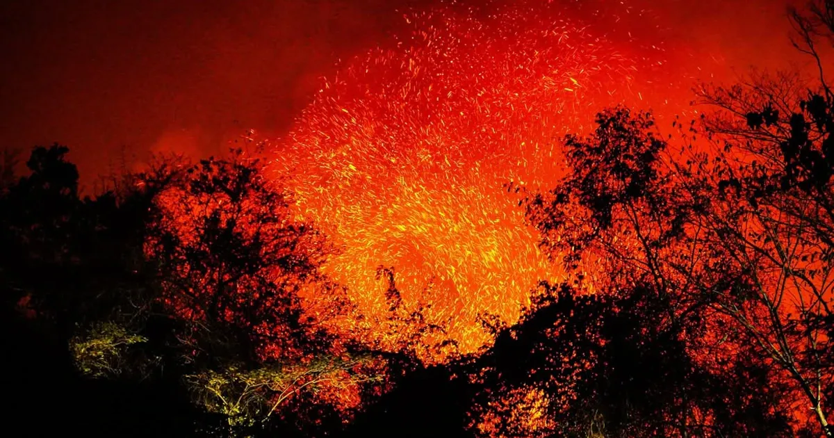 Gobierno confirma capturas de personas señaladas de provocar incendios en el Tolima