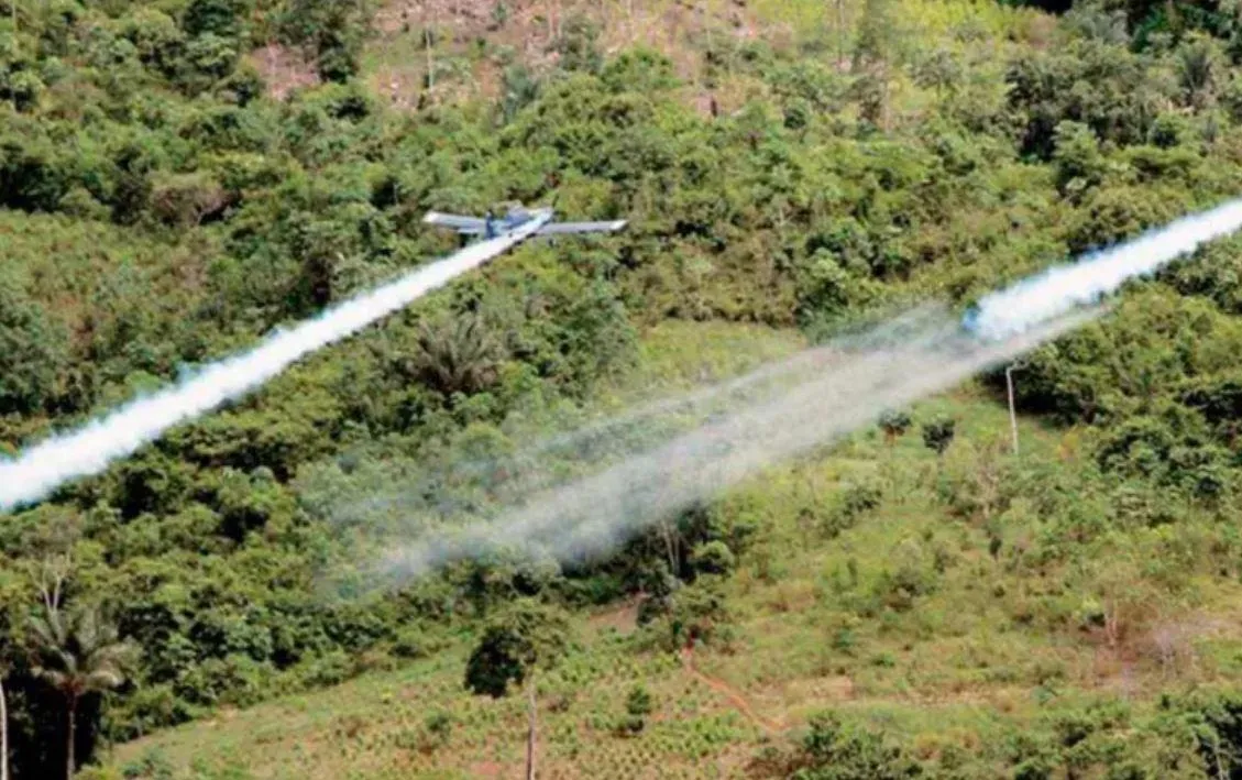 Juez suspende plan piloto de fumigación aérea con glufosinato en Putumayo