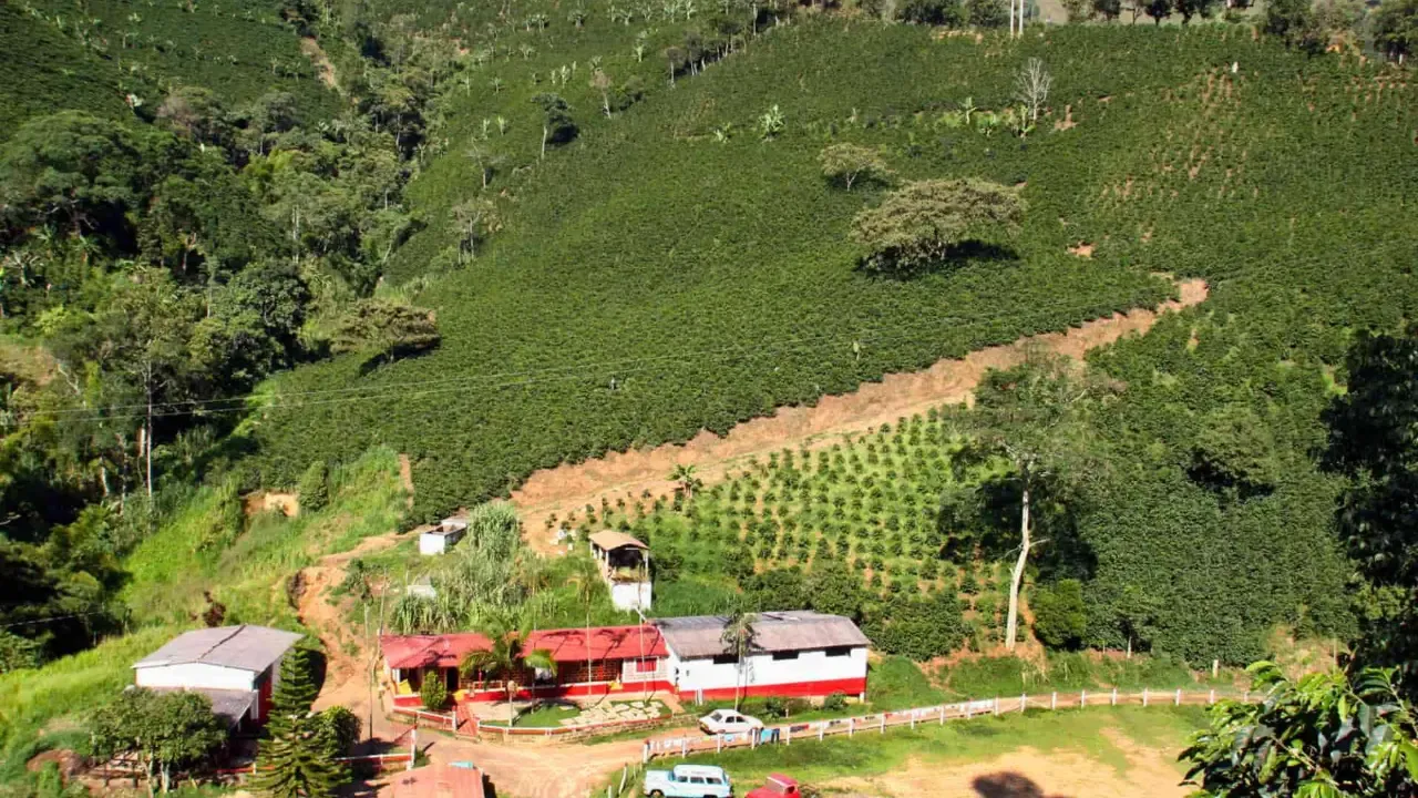 Ministerio de Agricultura desmontará cinco áreas de protección agraria