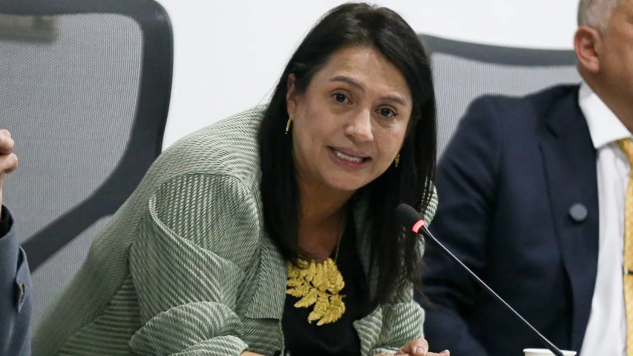 Ministerio de las Culturas aplaza para 2027 el Programa Nacional de Concertación Cultural por falta de recursos