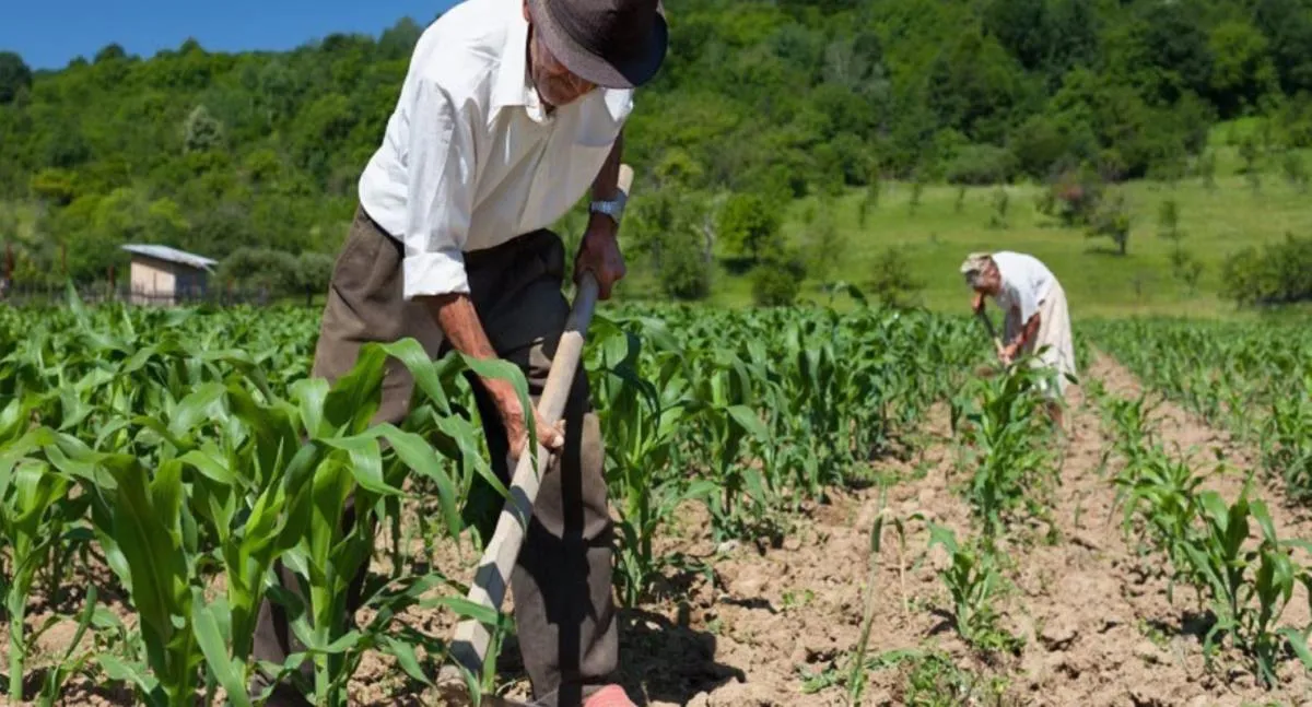 Colombia y el IICA estrechan lazos para impulsar la innovación agropecuaria