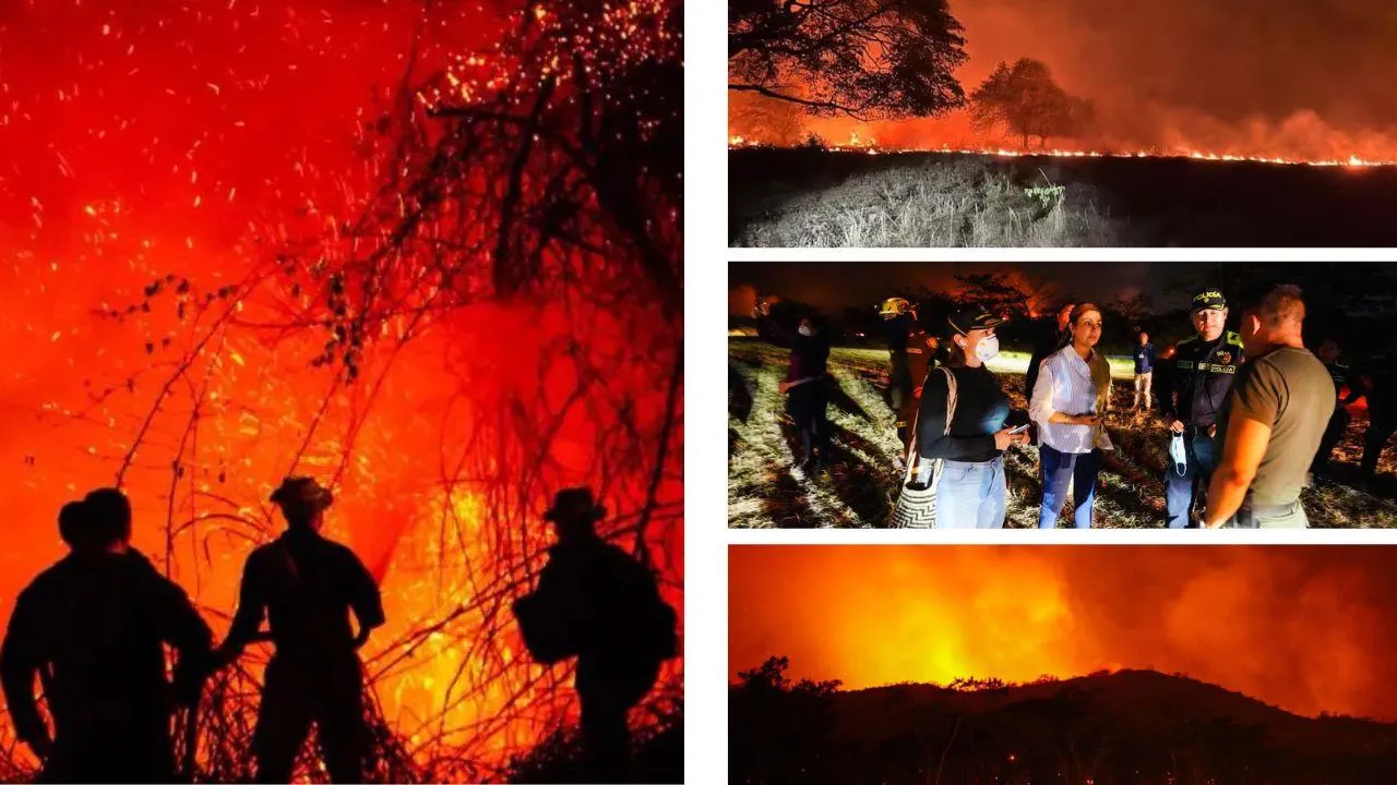 Gobierno investiga si disidencias y minería ilegal están detrás de los incendios en el Tolima