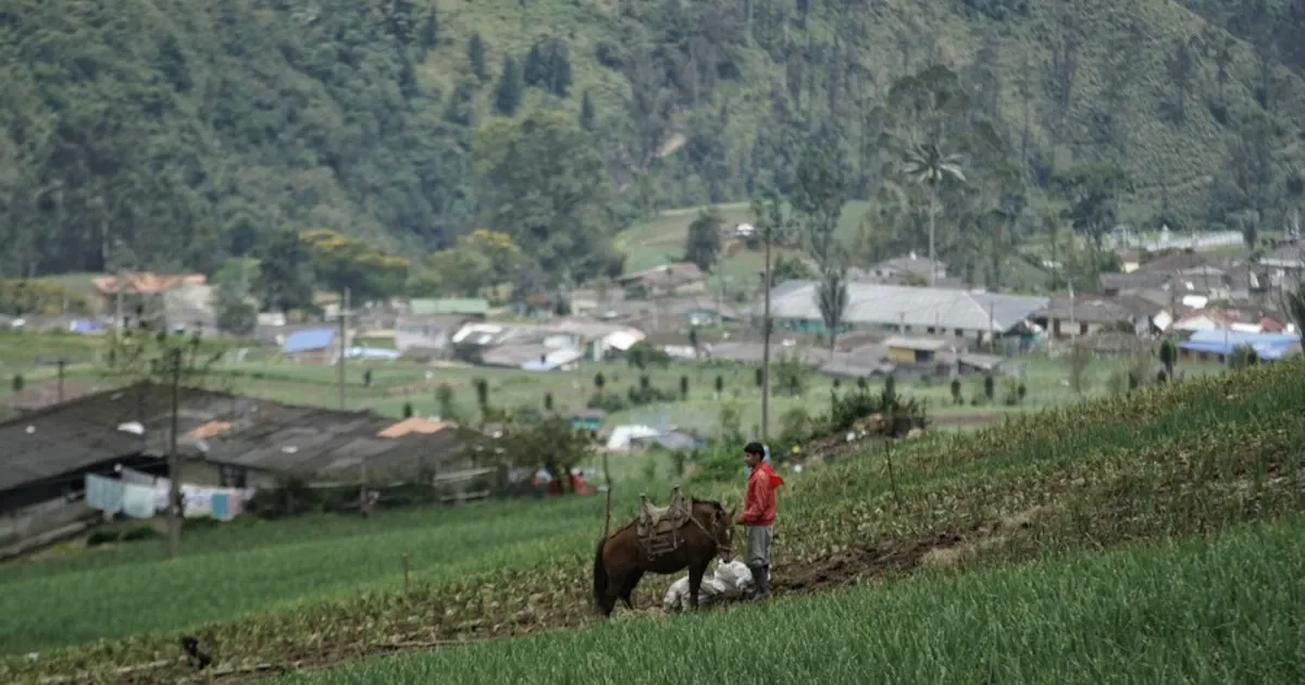 Ministerio de Agricultura rechazó la derogación de las Appa propuesta por Abelardo de la Espriella
