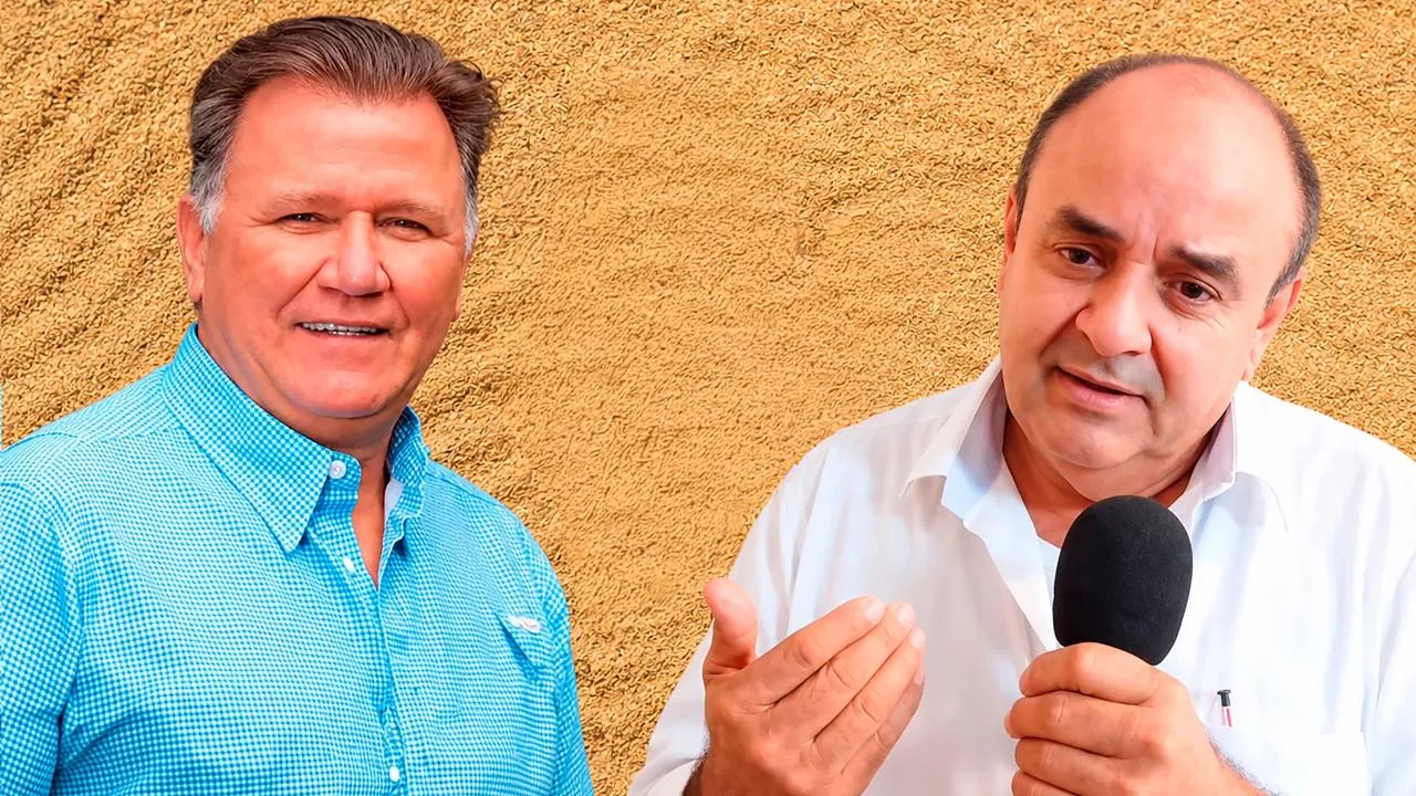 Crisis arrocera en Colombia: ministro de Agricultura sugiere a los productores migrar al marañón