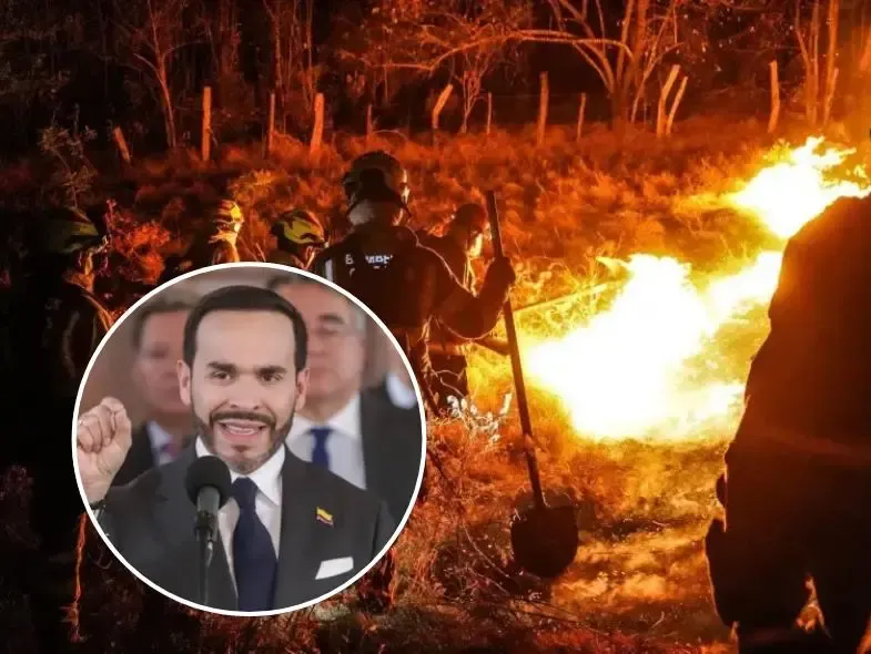 De la Esprilla viajará a Ibagué para coordinar la atención a los incendios en Tolima