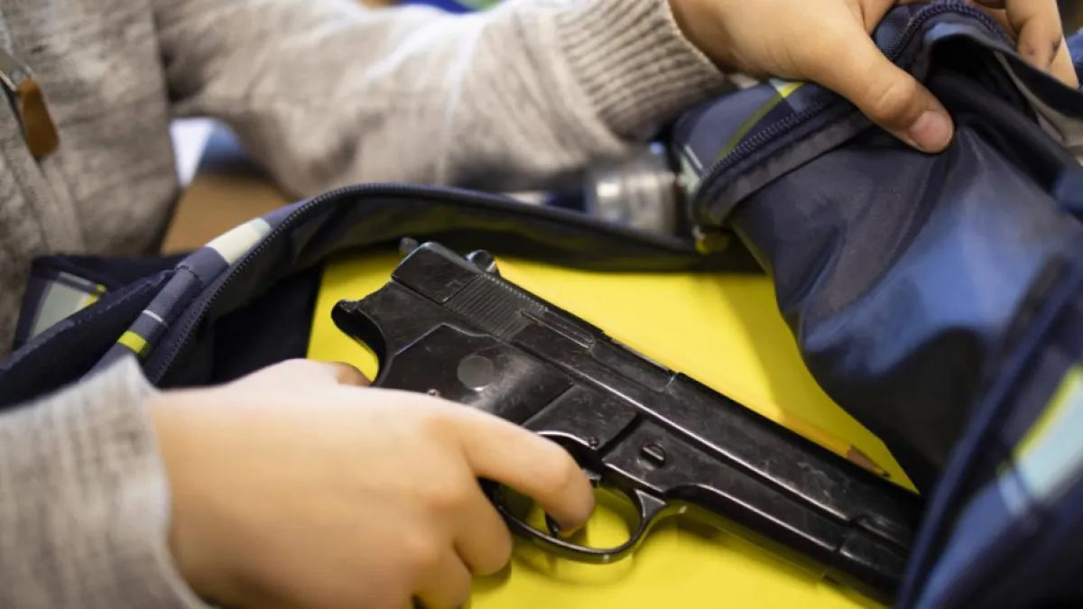 Gobierno de De La Espriella levanta la suspensión general del porte de armas en Colombia