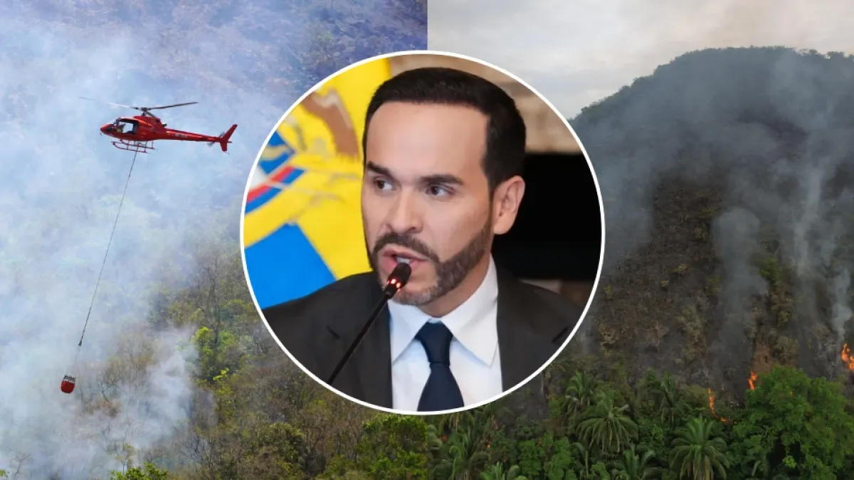 Presidente Abelardo de la Espriella declara calamidad pública en Tolima por incendios forestales