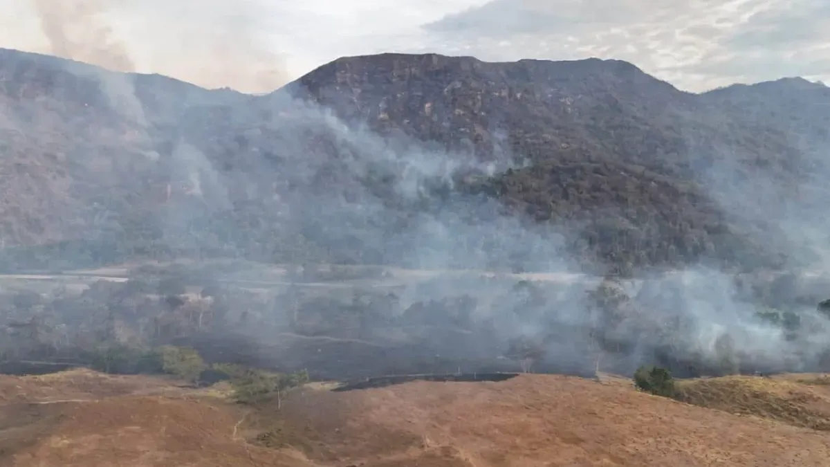 De la Espriella no descarta manos criminales en los incendios del Tolima y entrega balance