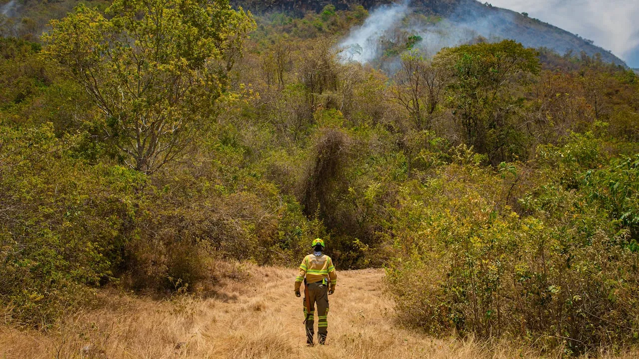 De la Espriella atribuye a grupos criminales los incendios en el Tolima
