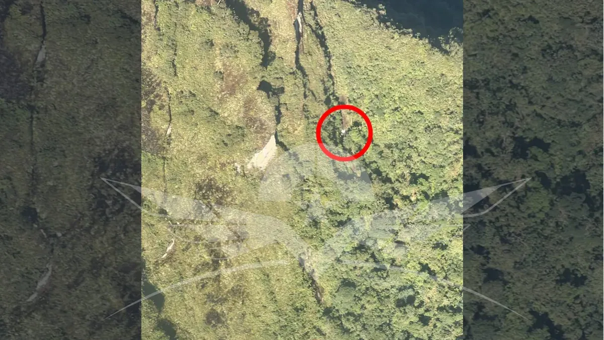 De la Espriella confirma el hallazgo sin vida de los ocupantes de la aeronave desaparecida en Chocó